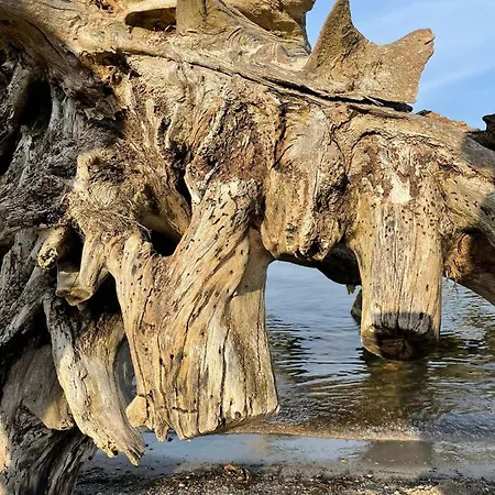 Urlaub Nahe Der Peene Nähe Der Ostsee