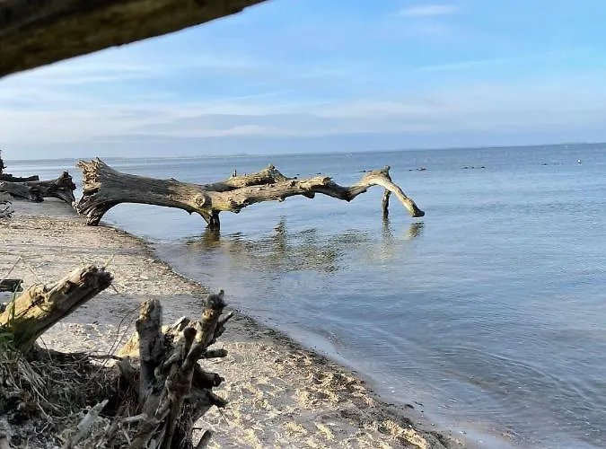Lejlighed Urlaub Nahe Der Peene Naehe Der Ostsee Rustow