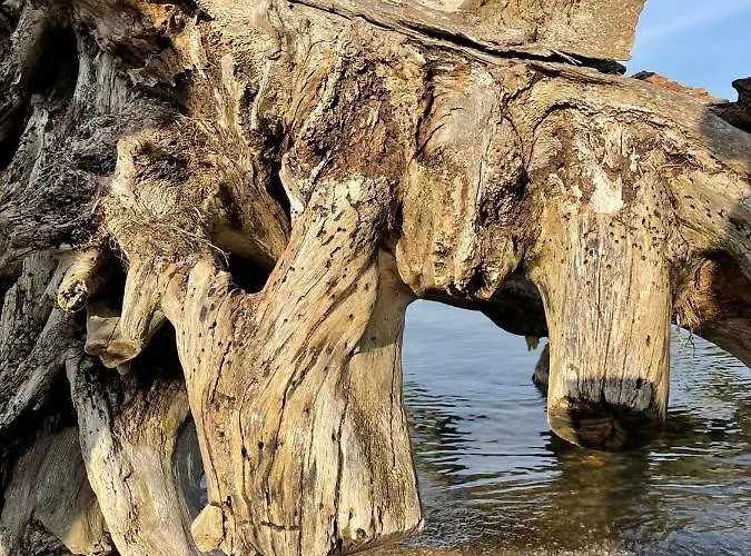 Urlaub Nahe Der Peene Naehe Der Ostsee